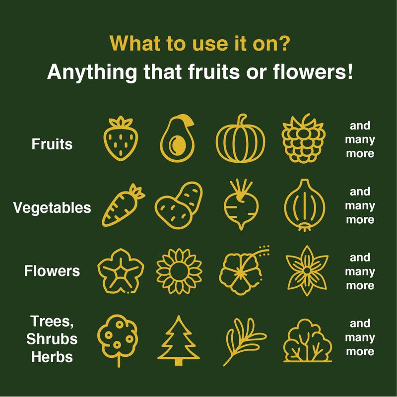 Oresa Fruit & Bloom Booster Fertilizer